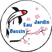 Bassin Eau Jardin